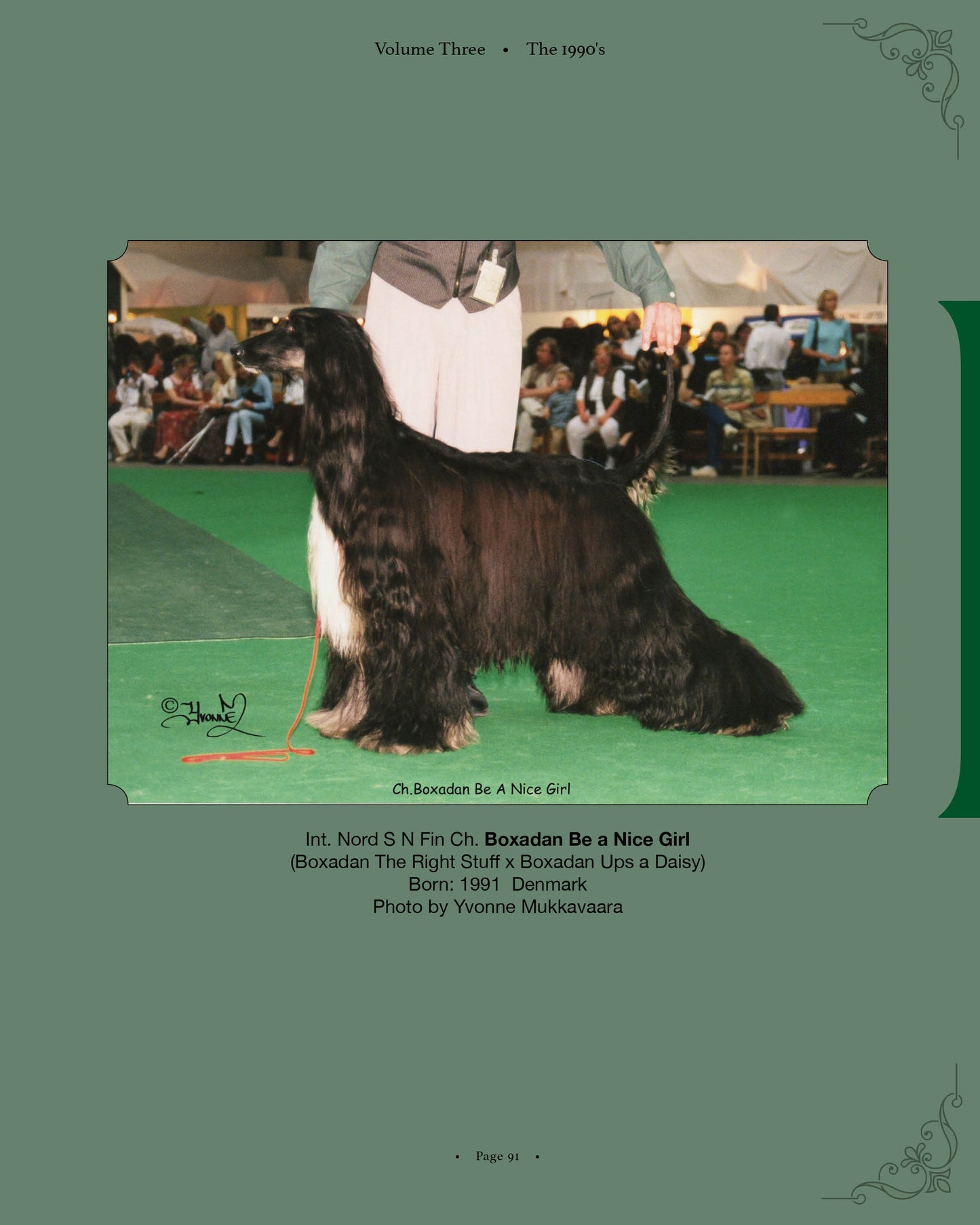 Boxadan Be a Nice Girl - a page from Afghan Hounds of Scandinavia and Europe from the 1970's, 80's and 90's (Vol. 3) by Victoria D. Spencer