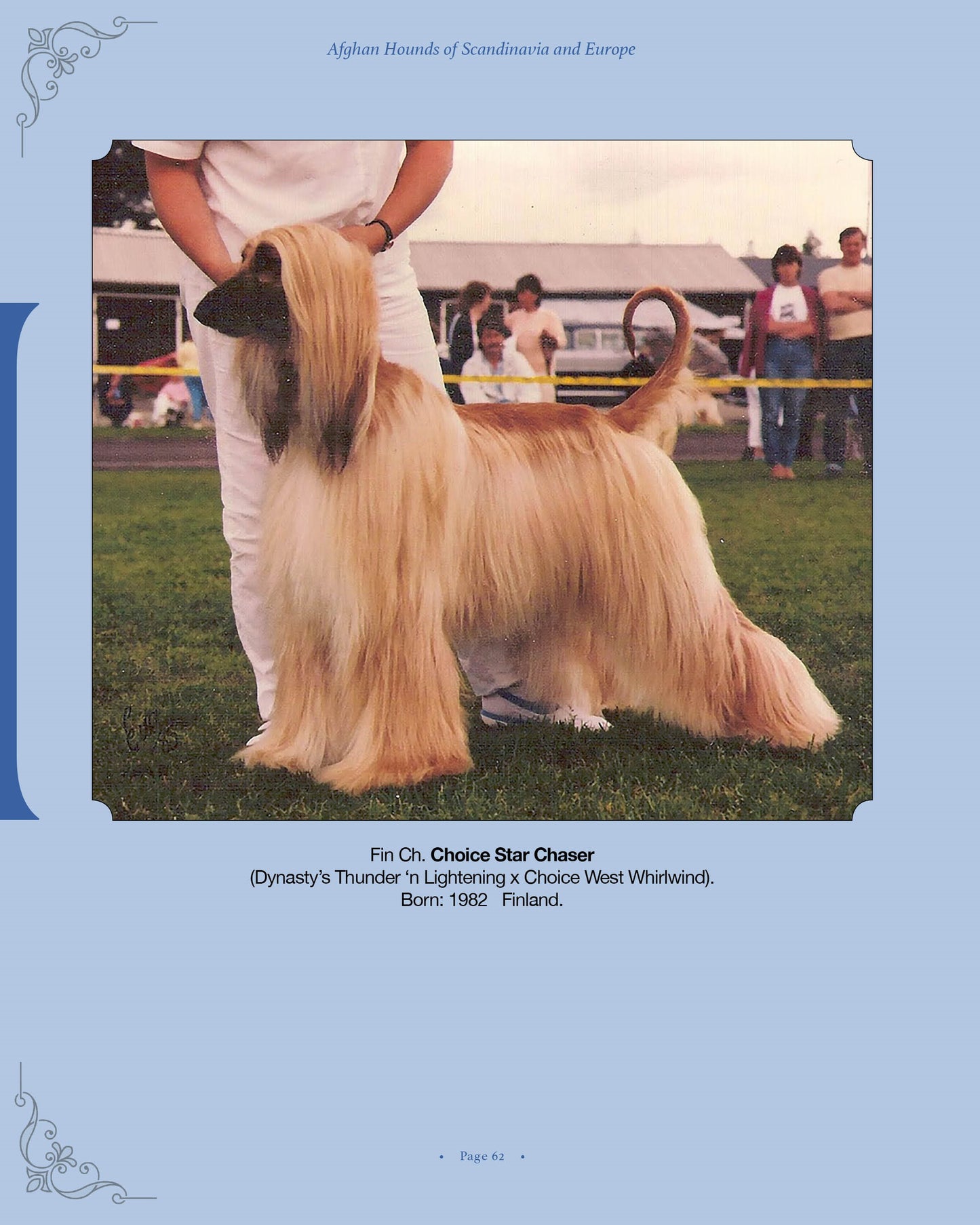 Choice Star Chaser - a page from Afghan Hounds of Scandinavia and Europe from the 1970's, 80's and 90's (Vol. 2) by Victoria D. Spencer