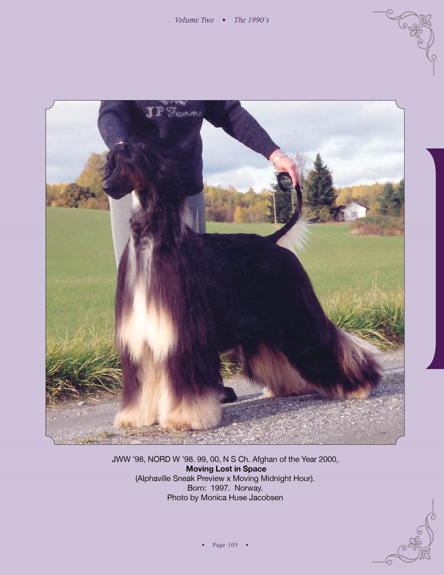 Moving Lost In Space - a page from Afghan Hounds of Scandinavia and Europe from the 1970's, 80's and 90's (Vol. 2) by Victoria D. Spencer