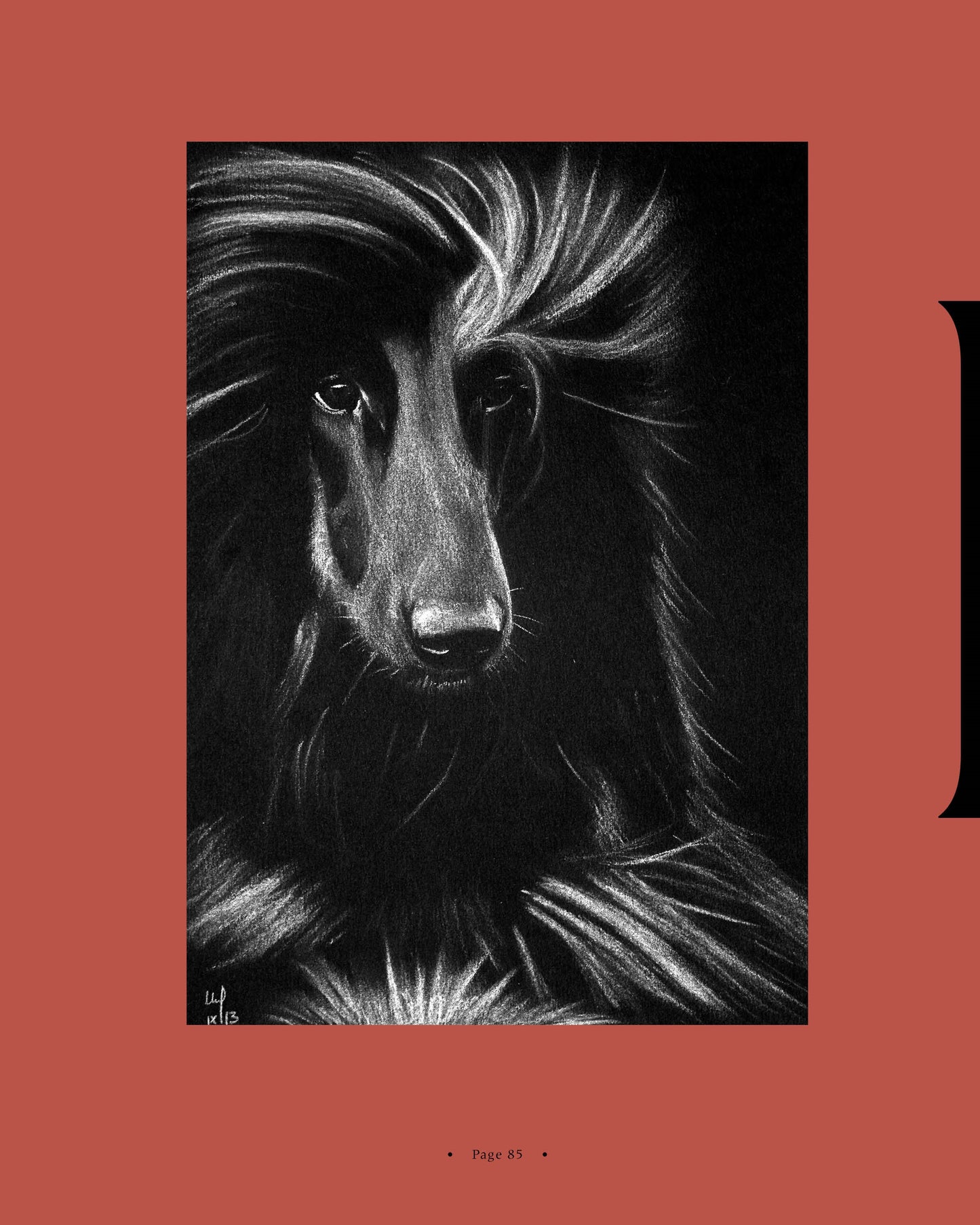 A striking black and white illustration of an Afghan Hound on a red page - a page from Afghan Hounds of Scandinavia and Europe from the 1970's, 80's and 90's (Vol. 1) by Victoria D. Spencer