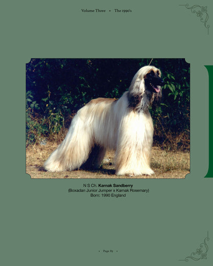 Karnak Sandberry - a page from Afghan Hounds of Scandinavia and Europe from the 1970's, 80's and 90's (Vol. 3) by Victoria D. Spencer