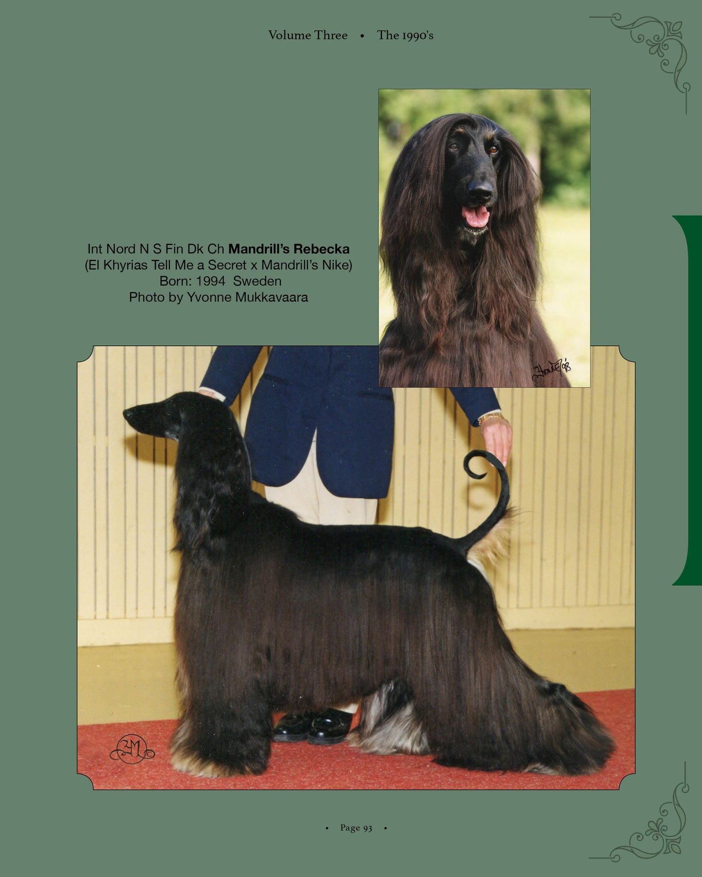 Mandrill's Rebecka - a page from Afghan Hounds of Scandinavia and Europe from the 1970's, 80's and 90's (Vol. 3) by Victoria D. Spencer