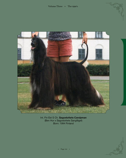 Sagoslottets Candyman - a page from Afghan Hounds of Scandinavia and Europe from the 1970's, 80's and 90's (Vol. 3) by Victoria D. Spencerj